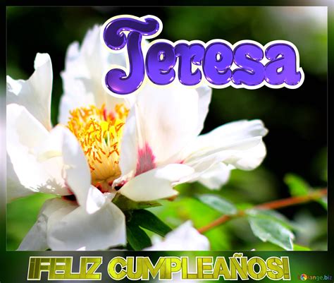 feliz cumpleaños teresa con flores